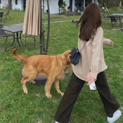 与君无间